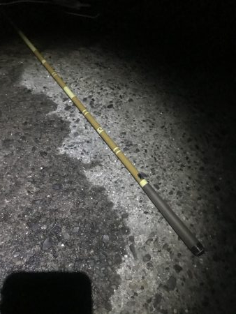 のべ竿で良型アジ大漁GET