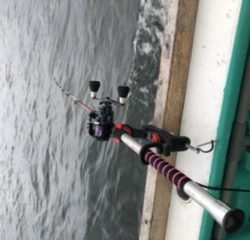 泉州丸さんでドカン