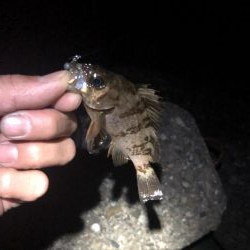 先週よかった地元へ