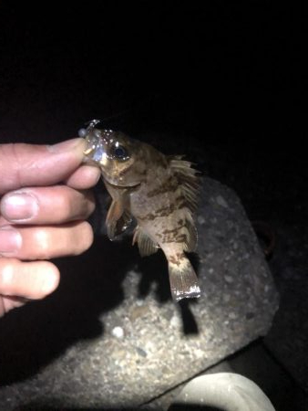 先週よかった地元へ