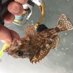 癒やしなガッシー3rd