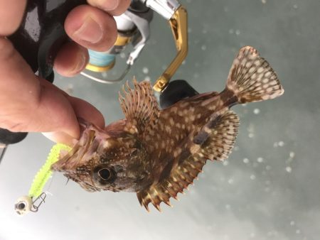 癒やしなガッシー3rd