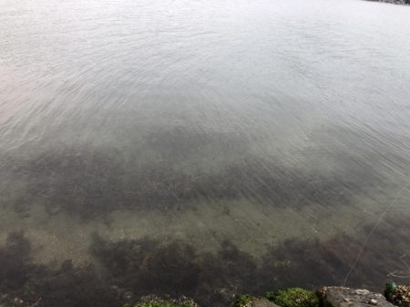 夜明けのキロモンゴ