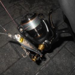 得意技?でヒット