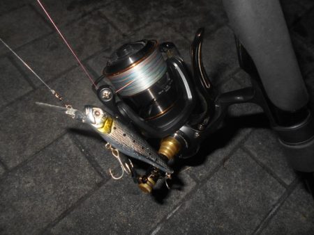 得意技?でヒット