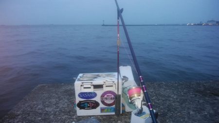 15時から播磨新島のキス調査