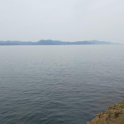 アオリイカ満足の釣果