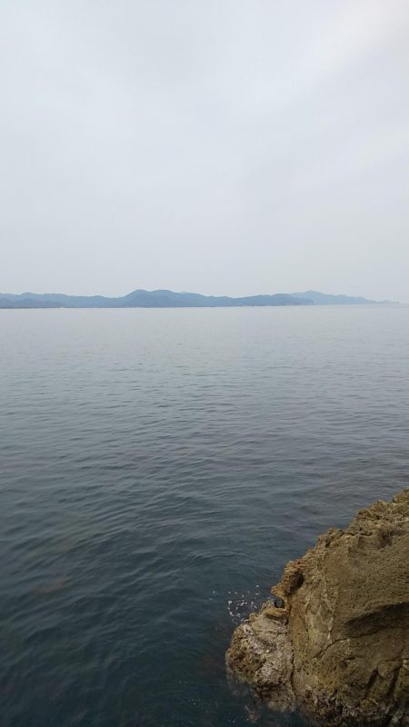 アオリイカ満足の釣果