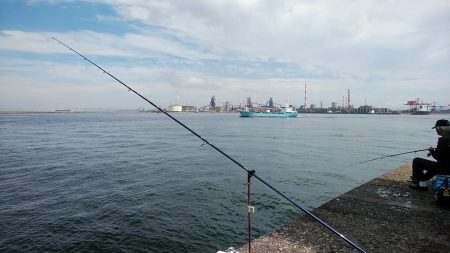 小型キス主体となった播磨新島