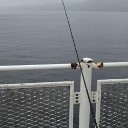 雨のかな初めての魚2種類釣りました!