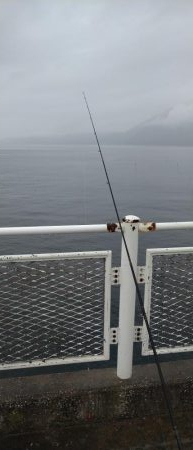 雨のかな初めての魚2種類釣りました!