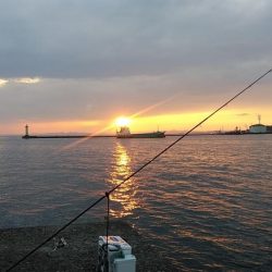 更に厳しくなった播磨新島のキス