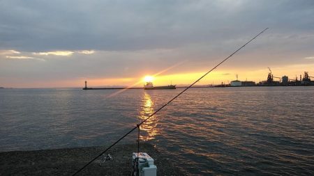 更に厳しくなった播磨新島のキス