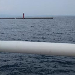 桟橋から五目釣り！