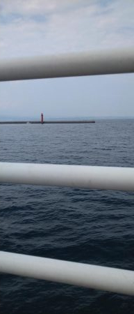 桟橋から五目釣り！