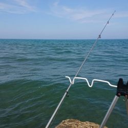 日本海のキスは最高