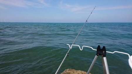 日本海のキスは最高