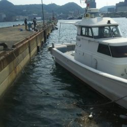 【関門】キジハタ2連発