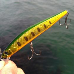 サーフフラット狙いでシーバスGET