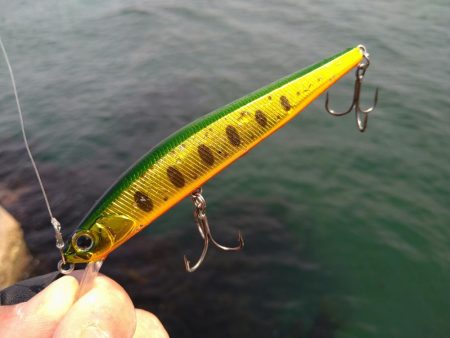 サーフフラット狙いでシーバスGET