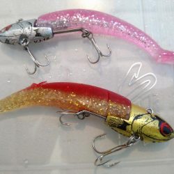 サーフでメガアジ乱舞