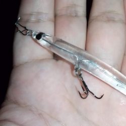 メバル狙いでライトゲーム五目釣り