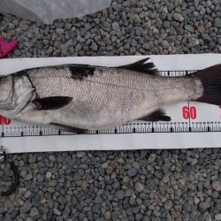 やっと釣れたー!