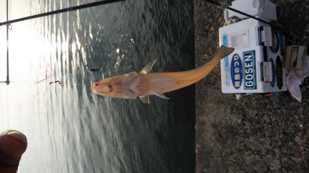 時合いを捉えるのが難しい