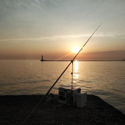 １５時から播磨新島のキス調査