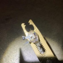 エギング、ライトゲーム