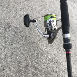 マイクロジグサビキでサバGET!