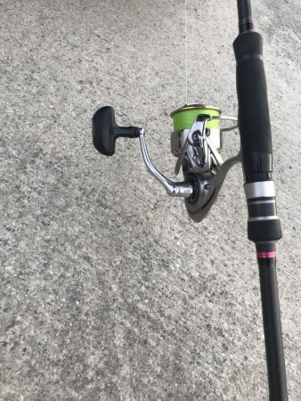 マイクロジグサビキでサバGET!