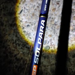 50cmのフッコでました