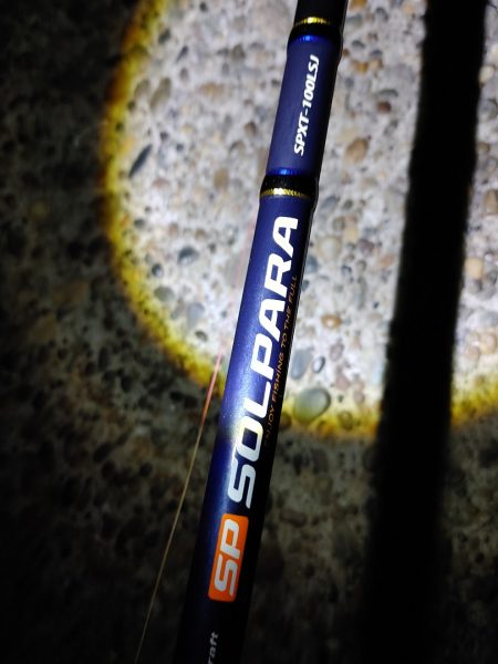 50cmのフッコでました