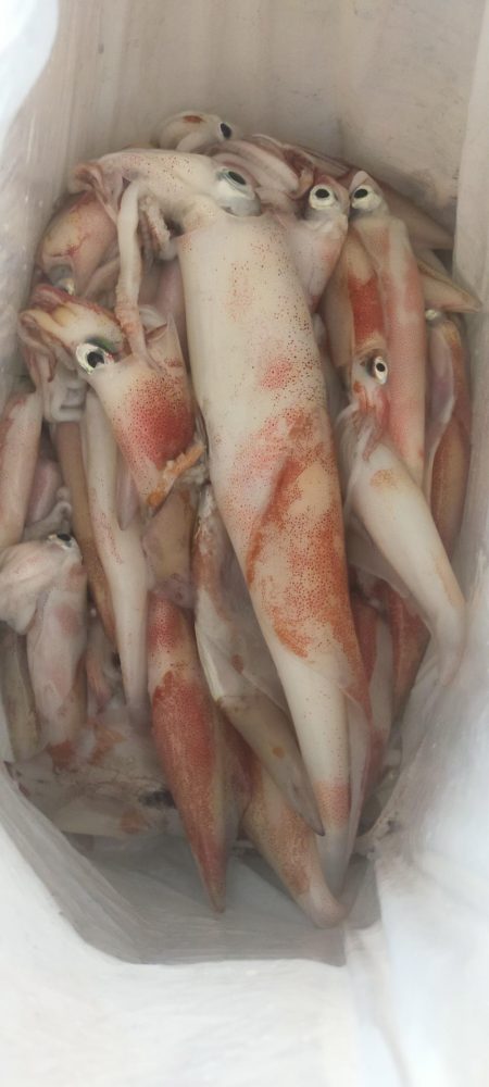 シロイカ上向き　大剣ゲット