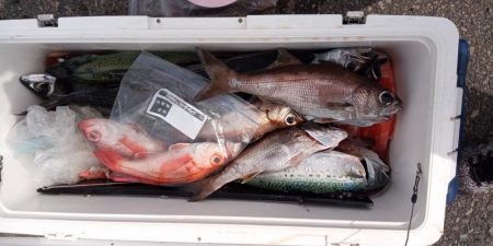 康仁丸・ジギング釣り果