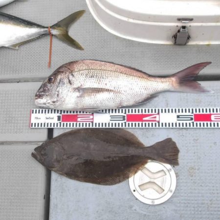 SOUTH 乗合便4名様釣果