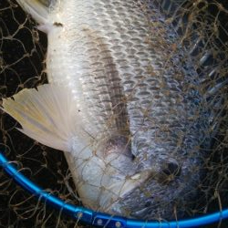 釣りデビュー 168日目❤