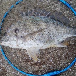 『釣りデビュー❤』172日目❗❗