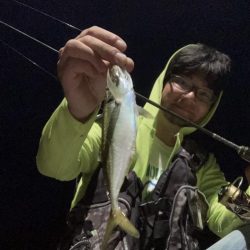 A.P.Pフィッシングガイドサービス　ベイトタックルでアジングにRIDEON！