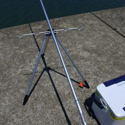 渋いながらもボツボツ