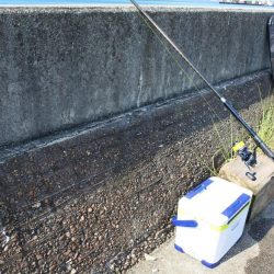 梅雨の晴れ間を狙って