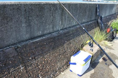 梅雨の晴れ間を狙って