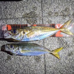 根岸付近の緑地公園にて！