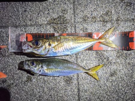 根岸付近の緑地公園にて！