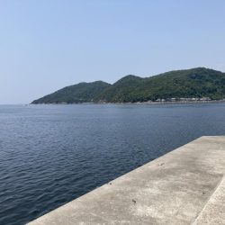 ライトゲームで小サバ