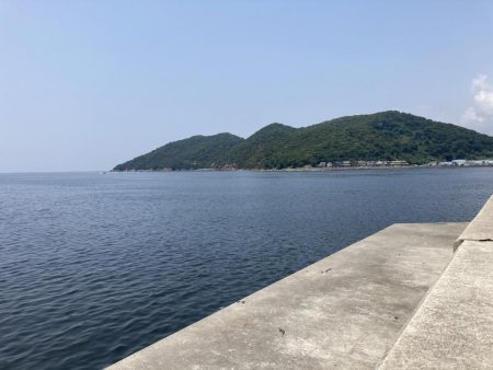 ライトゲームで小サバ