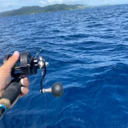 ライジギの旅♪