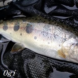 先行者の後、釣りこぼしを拾う釣り