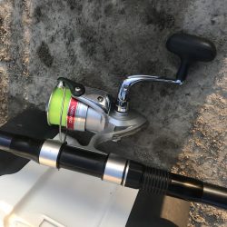 ダイソージグサビキで大漁